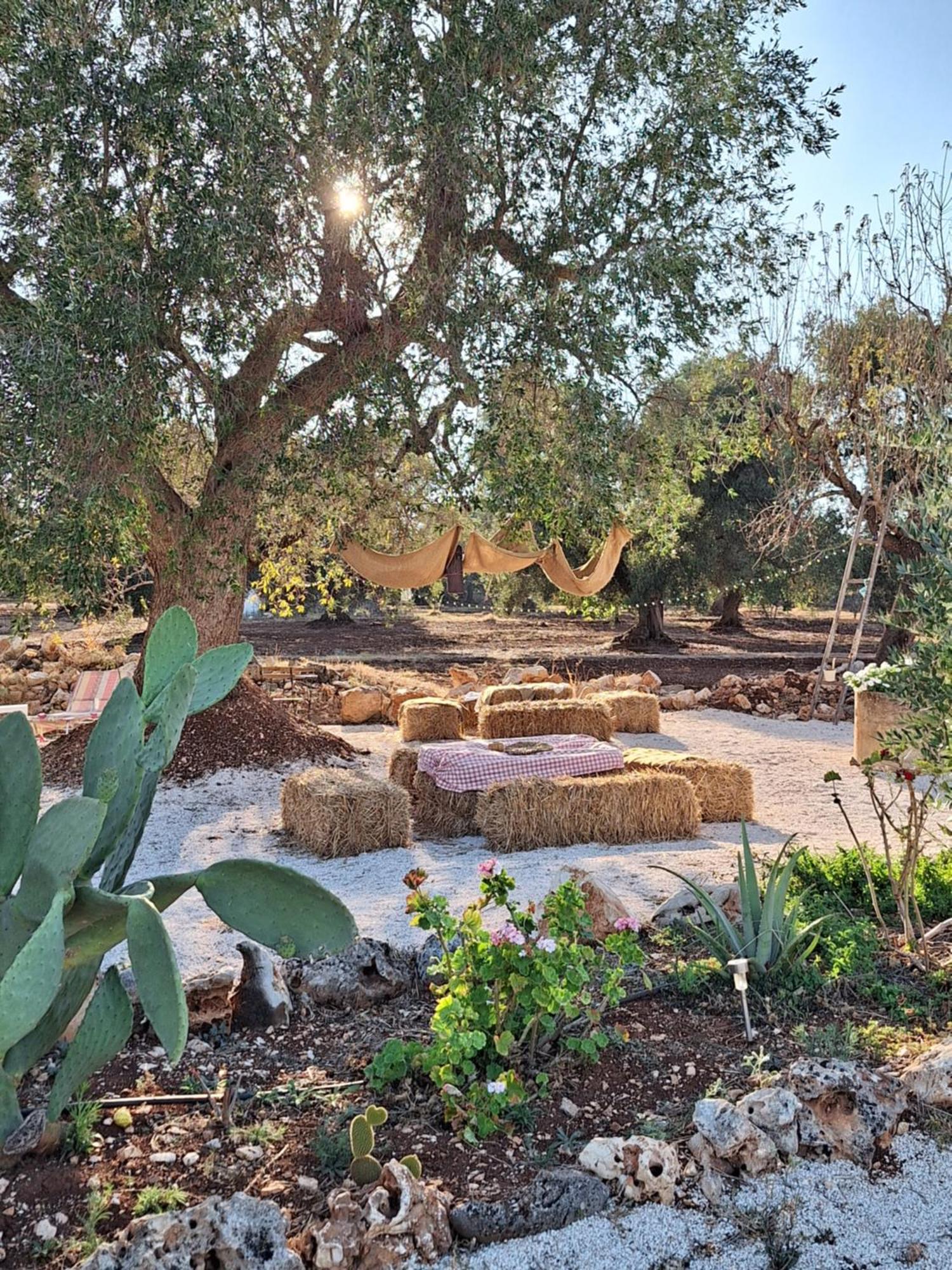 פרנקווילה פונטנה Residenza Anima Mediterranea מראה חיצוני תמונה