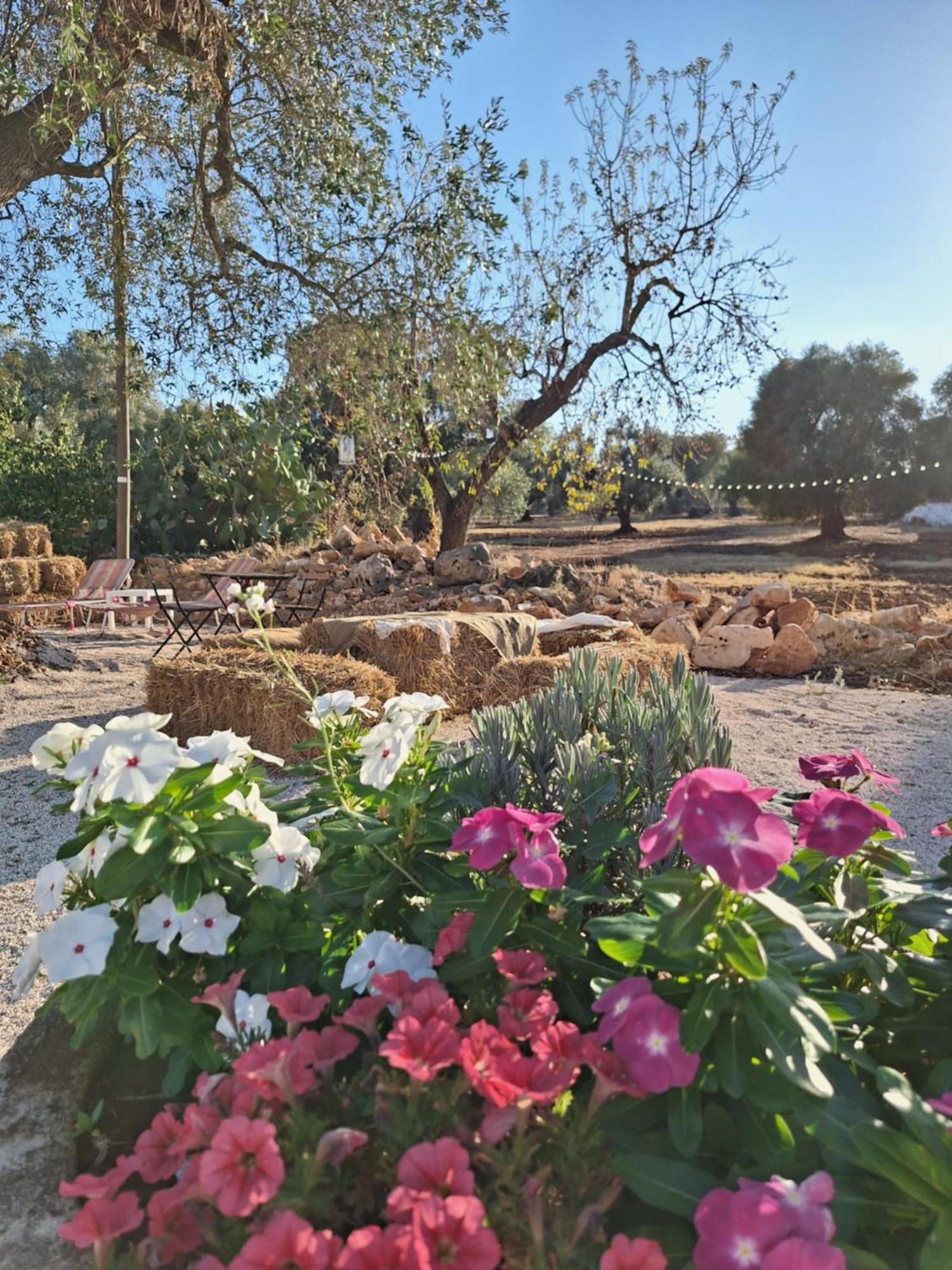 פרנקווילה פונטנה Residenza Anima Mediterranea מראה חיצוני תמונה