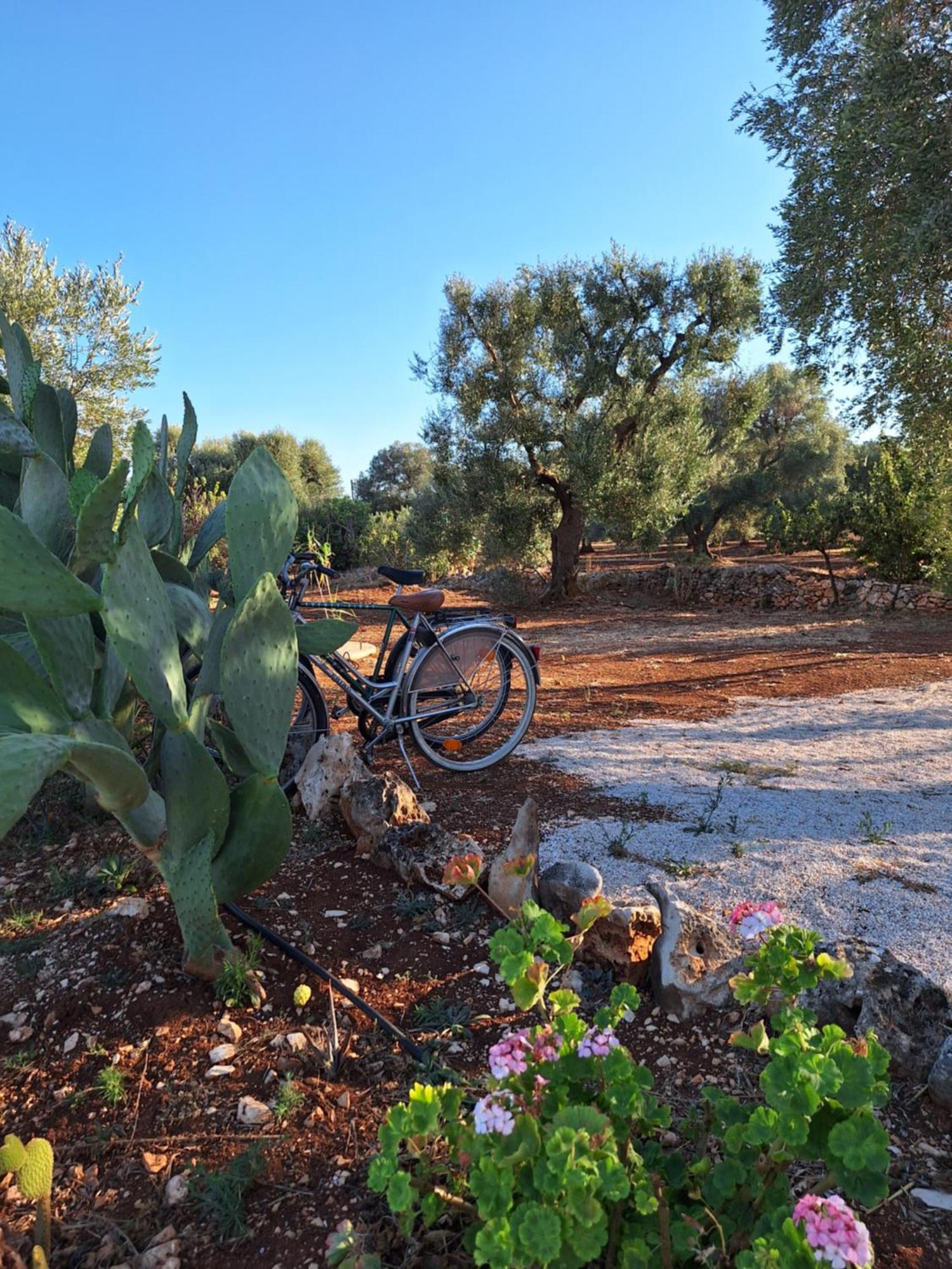 פרנקווילה פונטנה Residenza Anima Mediterranea מראה חיצוני תמונה
